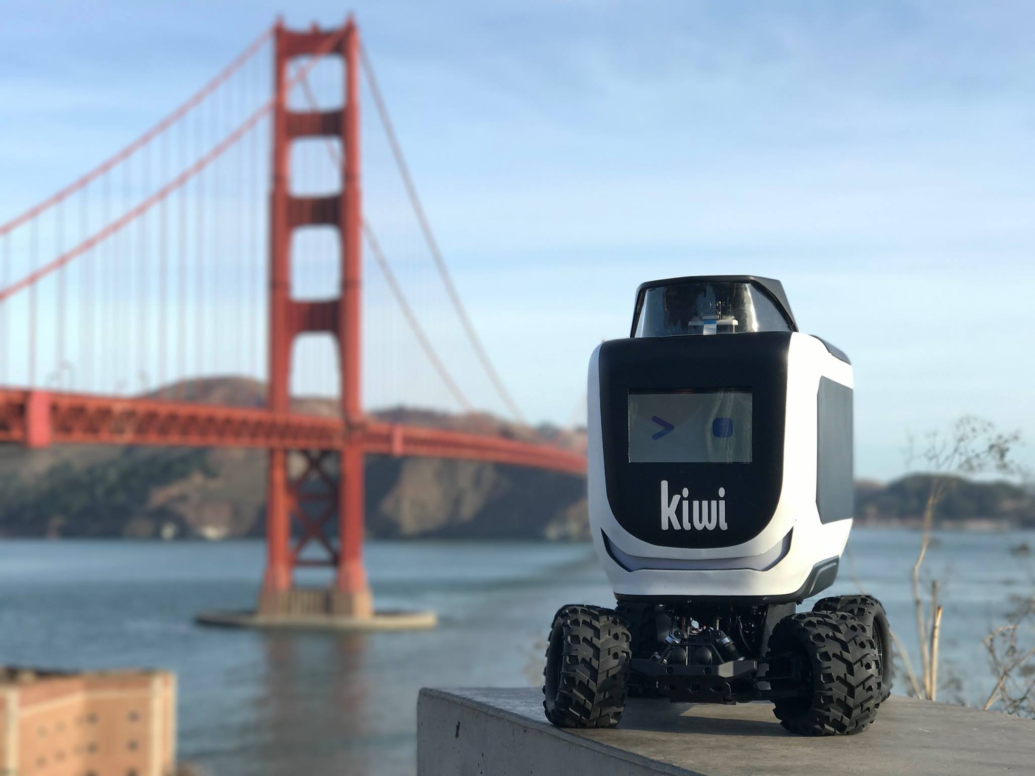 KiwiBot robot